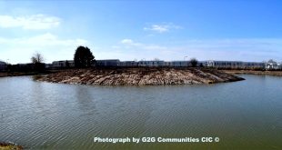 Rhyl Cut