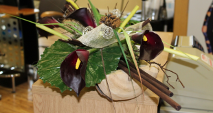 The Craft Shed