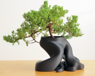 Bonsai Planter